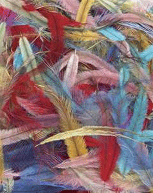 Manufacturers Exporters and Wholesale Suppliers of Emu Feather Vadodara Gujarat